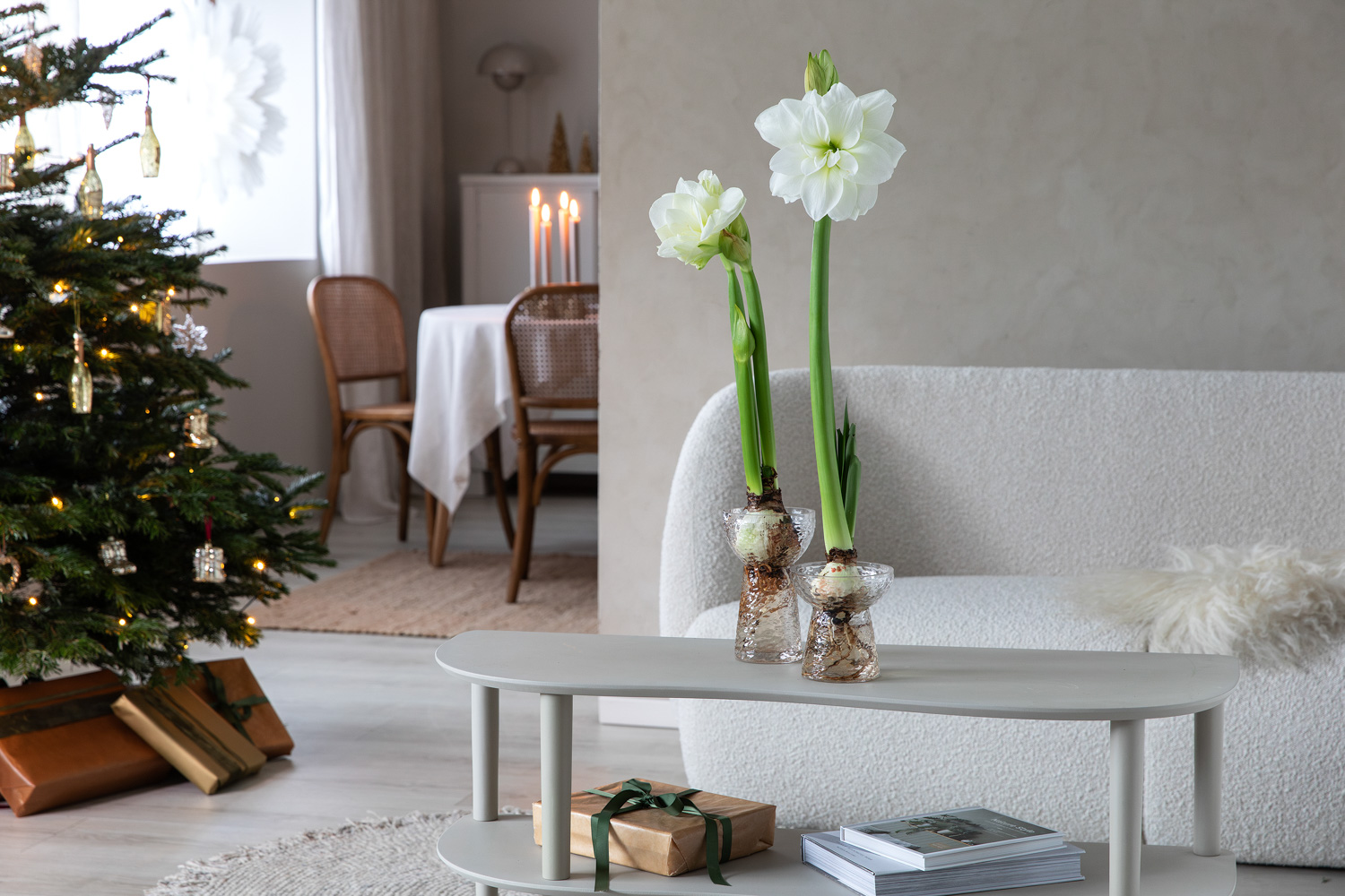 Amaryllis i Dome glassvase